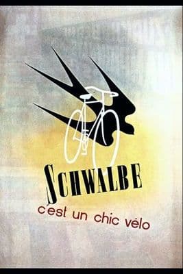 Vintage French cycling advertisment poster - Schwalbe