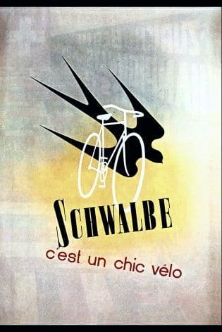 Vintage French cycling advertisment poster - Schwalbe