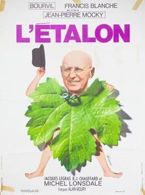 Vintage Movie poster - L'etalon 1970