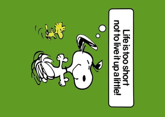 Vintage Snoopy magazine cover poster - Life is too short not to live it up a little