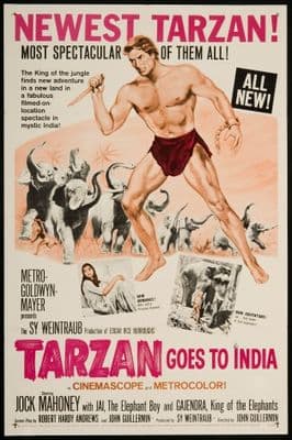 Vintage Travel Poster, Tarzan goes to India