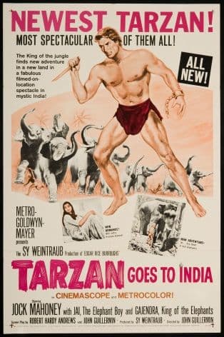 Vintage Travel Poster, Tarzan goes to India