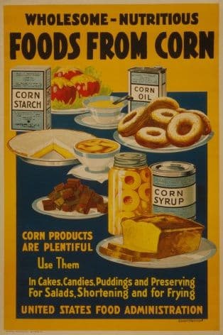 Vintage United States Food Administration Poster