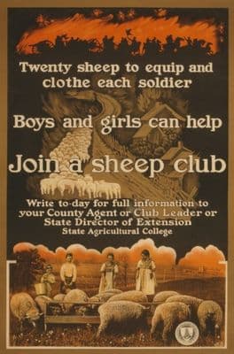 Vintage WW1 Poster Looking for Volunteers to Join a Sheep Club
