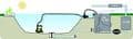 Dolphin BIO Natural Pool Cleaner I Simplex Pools