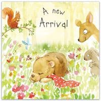 New Baby Cards. New Baby Girl Cards. New Baby Boy Cards. Congratulations Cards. Twizler.