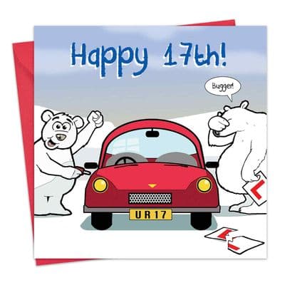 Age 17 Funny Birthday Card