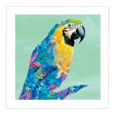 Animal Prints - Unframed Wall Art - Choice of 12 Designs & 2 Border Sizes - Christmas Gift Presents