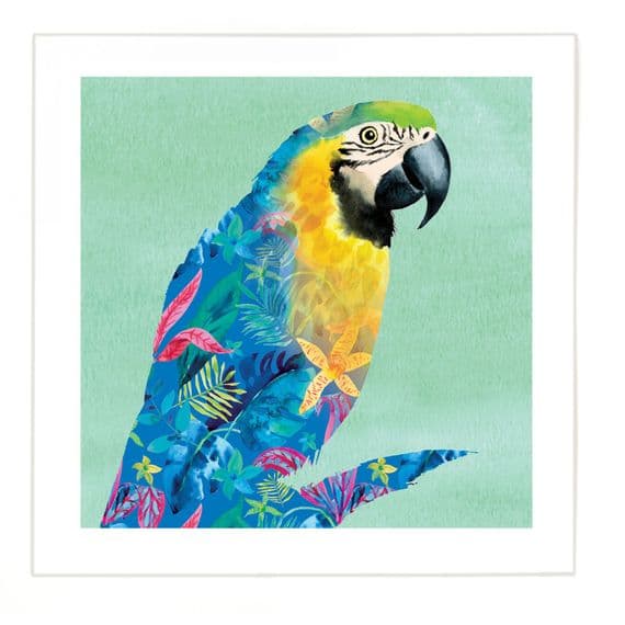 Animal Prints. Nature Prints. Art Gifts. Wildlife Art. Christmas Gifts. Birthday Gifts.