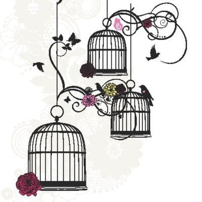 Bird Cages