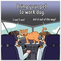 Funny Cat Card. Funny Birthday Cards. Funny Cards. Funny Happy Birthday Cards. Humorous Greeting Cards. Funny Animal Cards. Twizler.