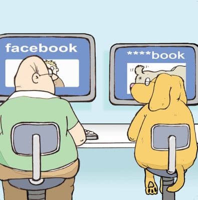 Facebook Dog Card