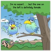Funny Birthday Cards. Funny Cards. Funny Happy Birthday Cards. Humorous Greeting Cards. Funny Animal Cards. Twizler.