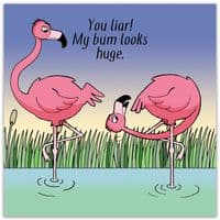 Funny Birthday Cards. Funny Cards. Funny Happy Birthday Cards. Humorous Greeting Cards. Twizler.