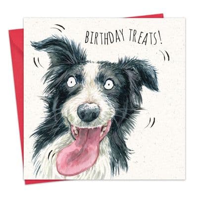 Funny Birthday Card - Border Collie