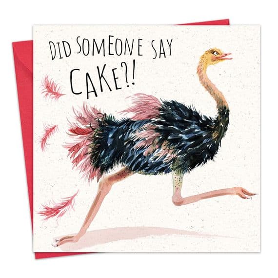 Funny Cards. Funny Birthday Cards. Humour Cards. Funny Animal Cards. Humorous Greeting Cards. Twizler.