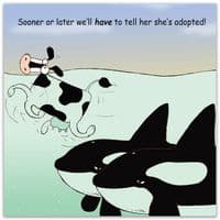 Funny Birthday Cards. Funny Cards. Funny Happy Birthday Cards. Humorous Greeting Cards. Twizler.