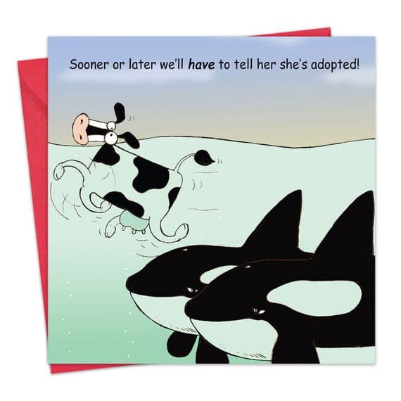 Funny Birthday Cards. Funny Cards. Funny Happy Birthday Cards. Humorous Greeting Cards. Twizler.