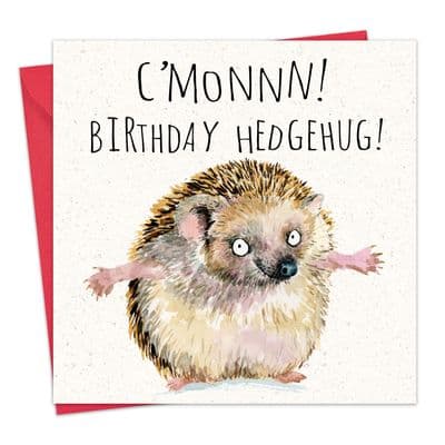 Funny Card Birthday Hedgehug
