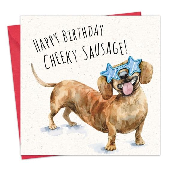 Funny Cards. Funny Birthday Cards. Humour Cards. Funny Animal Cards. Humorous Greeting Cards. Twizler.