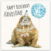 Funny Cards. Funny Birthday Cards. Humour Cards. Funny Animal Cards. Humorous Greeting Cards. Twizler.