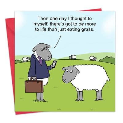 Funny Card - Sheep More to Life