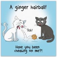 Funny Cat Card. Funny Birthday Cards. Funny Cards. Funny Happy Birthday Cards. Humorous Greeting Cards. Funny Animal Cards. Twizler.