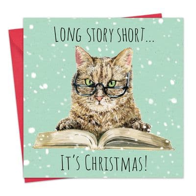 Funny Cat Christmas Card - Long Story