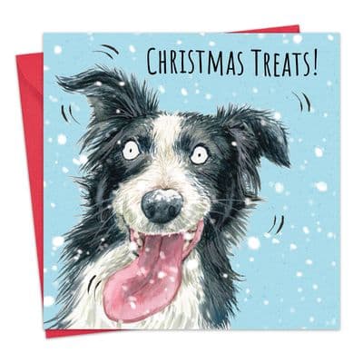 Funny Christmas Card - Border Collie - Xmas Treats