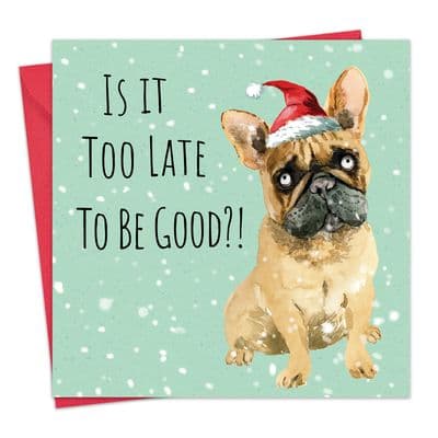 Funny Christmas Card - Dog - Nice List