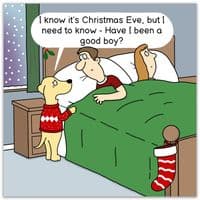 Funny Christmas Cards. Funny Cards. Humour Cards. Humour Christmas Cards. Funny Xmas Cards. Humorous Christmas Cards. Twizler.