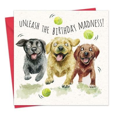 Funny Dog Birthday Card - Mad Labradors