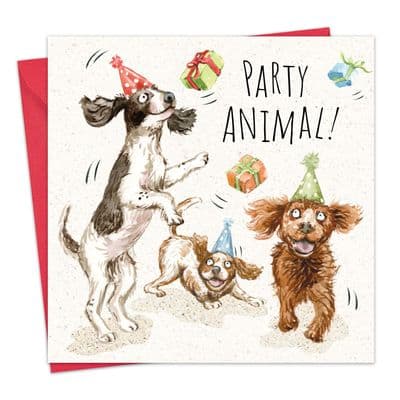 Funny Dog Birthday Card - Party Spaniels