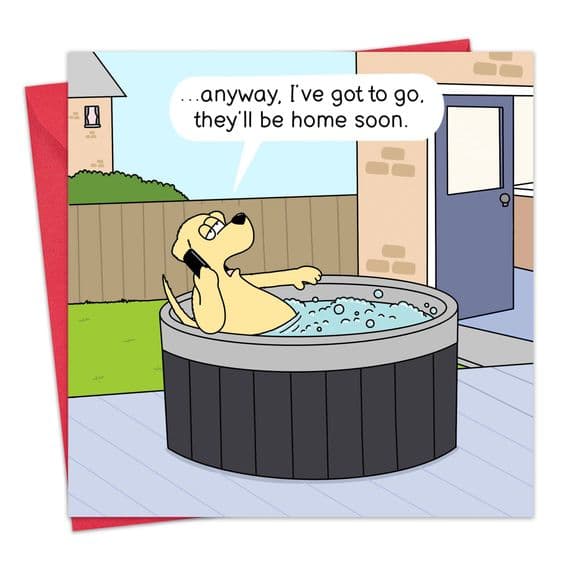 Funny Birthday Cards. Funny Cards. Funny Happy Birthday Cards. Humorous Greeting Cards. Funny Animal Cards. Twizler.