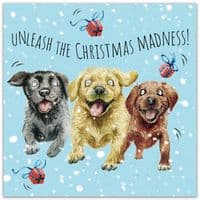 Funny Christmas Cards. Funny Cards. Funny Dog Cards. Humour Cards. Humour Christmas Cards. Funny Xmas Cards. Humorous Christmas Cards. Twizler.