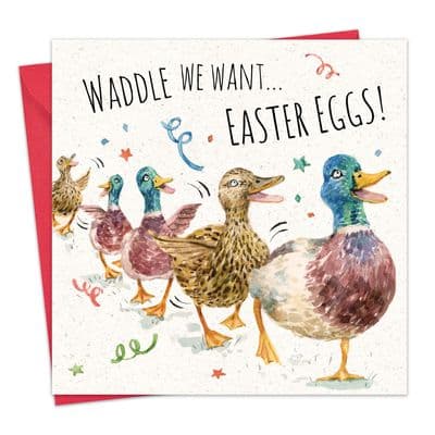 Funny Easter Card - Ducks