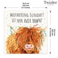 Funny Mothering Sunday Card. Funny Mothers Day Cards. Funny Mothers Day Cards. Funny Mums Day Cards. Humorous Greeting Cards. Twizler.
