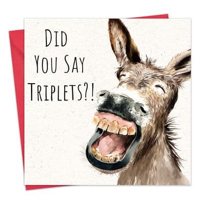 Funny New Triplets Card - Donkey
