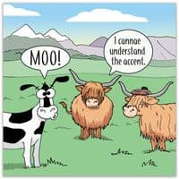 Funny Birthday Cards. Funny Cards. Funny Happy Birthday Cards. Humorous Greeting Cards. Funny Animal Cards. Twizler.