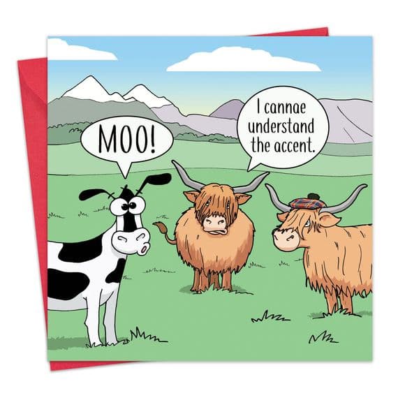 funny-scottish-card-highland-cow-33776-1-p.jpg