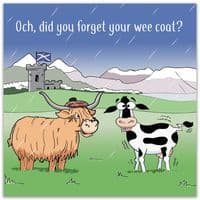 Funny Birthday Cards. Funny Cards. Funny Happy Birthday Cards. Humorous Greeting Cards. Funny Animal Cards. Twizler.