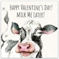 Funny Valentines Day Cards. Funny Valentine Cards From Cat. Funny Valentines Day Cards. Humorous Greeting Cards. Animal Cards. Twizler.