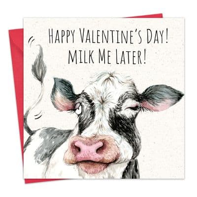 Funny Valentine's Day Card - Cow