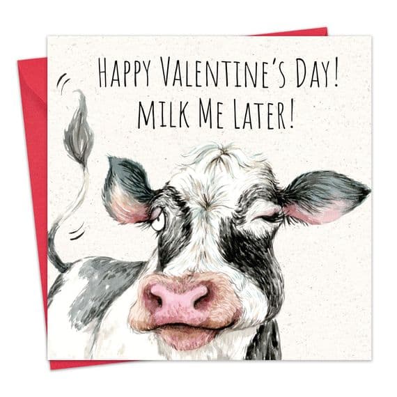 Funny Valentines Day Cards. Funny Valentine Cards From Cat. Funny Valentines Day Cards. Humorous Greeting Cards. Animal Cards. Twizler.