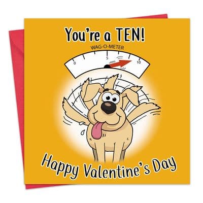 Funny Valentines Day Card From The Dog