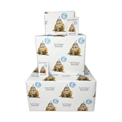 Happy Birthday Wrapping Paper for Men - Handsome Walrus - 4 Sheets & 4 Tags - Funny Gift Wrap