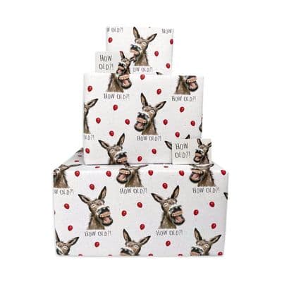 Happy Birthday Wrapping Paper for Men or Women - Donkey How Old - 2 Sheets & 2 Tags & Matching Card