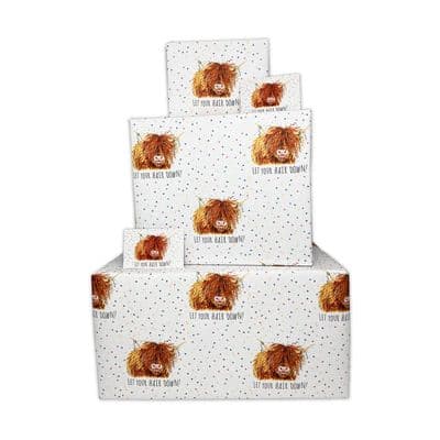 Happy Birthday Wrapping Paper - Women Scottish Highland Cow - 2 Sheets & 2 Tags - Funny Gift Wrap