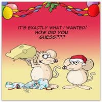 Funny Christmas Cards. Funny Cards. Funny Xmas Cards. Merry Christmas Cards. Happy Christmas Cards. Humorous Christmas Cards. Twizler.