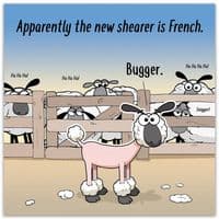 Funny Birthday Cards. Funny Cards. Funny Happy Birthday Cards. Humorous Greeting Cards. Twizler.